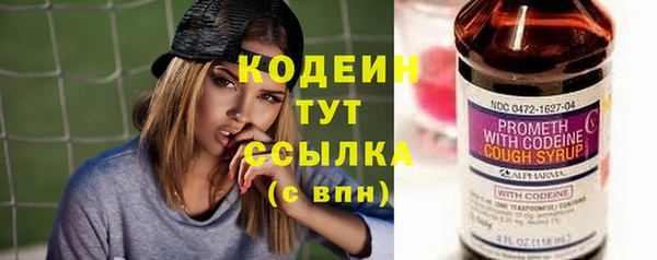Альфа ПВП Лагань