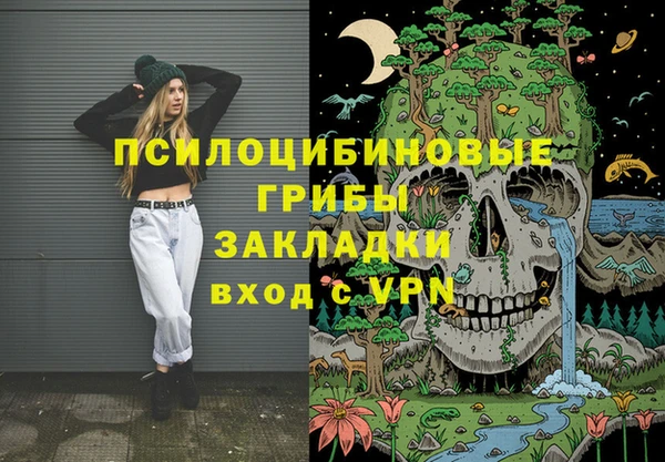 Альфа ПВП Лагань