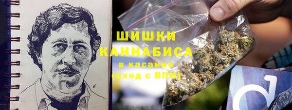 Альфа ПВП Лагань