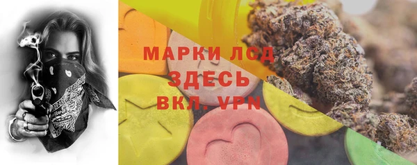 Альфа ПВП Лагань