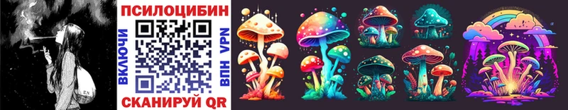 Псилоцибиновые грибы Psilocybe  mega вход  Сусуман 