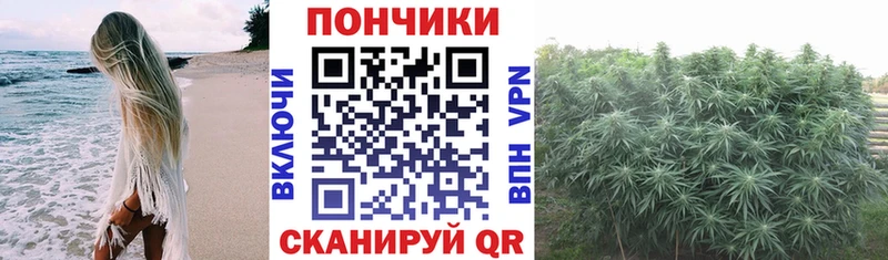 Шишки марихуана планчик Сусуман
